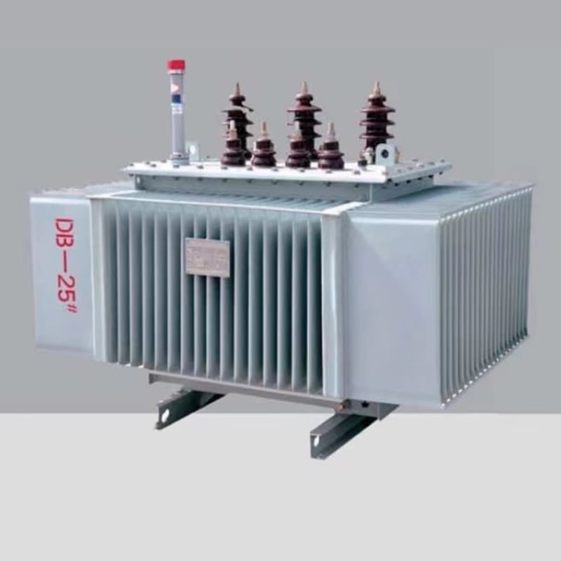 Oil-immersed transformer